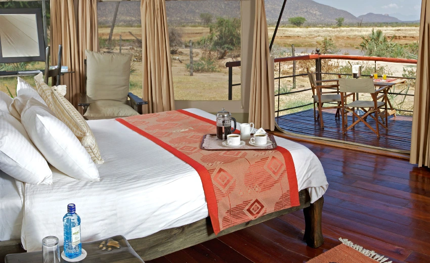 Lifetime Safaris
