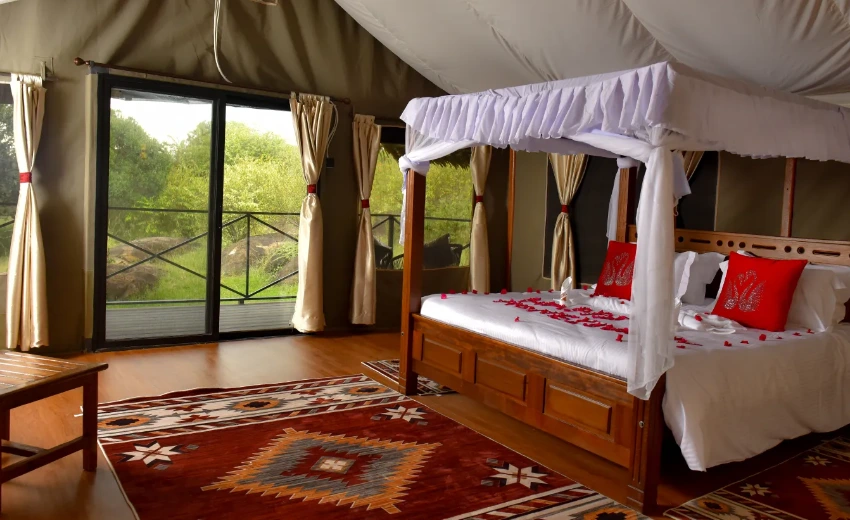 Lifetime Safaris