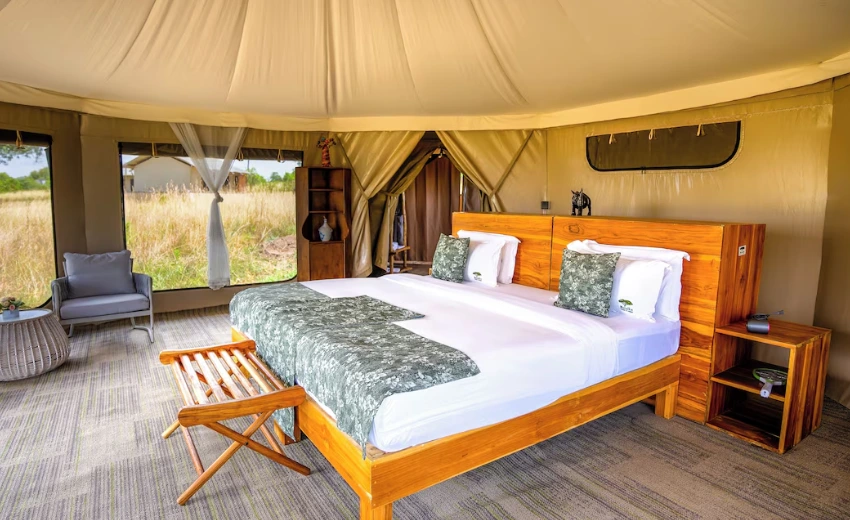 Lifetime Safaris