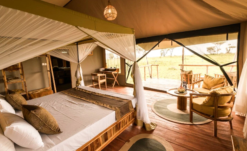 Lifetime Safaris
