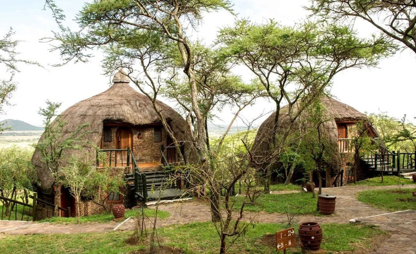 Lifetime Safaris