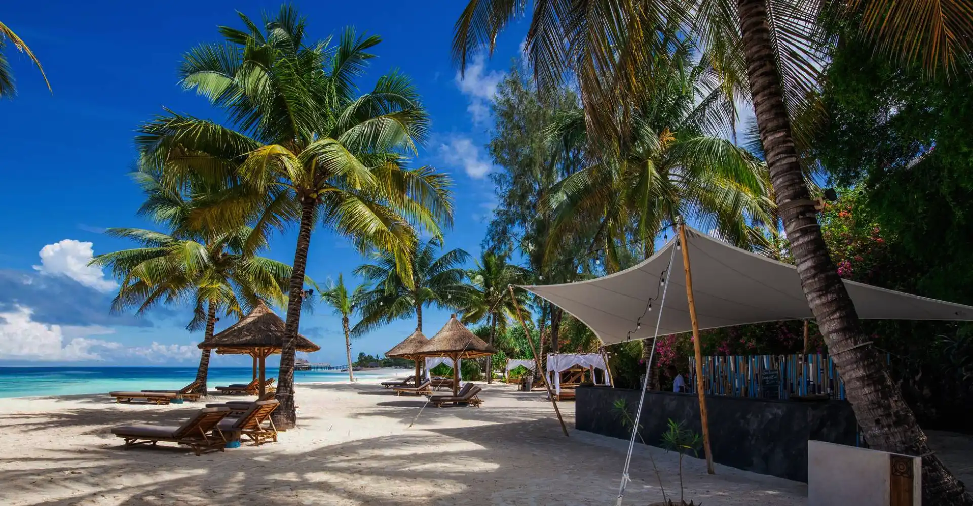 Lifetime Safaris