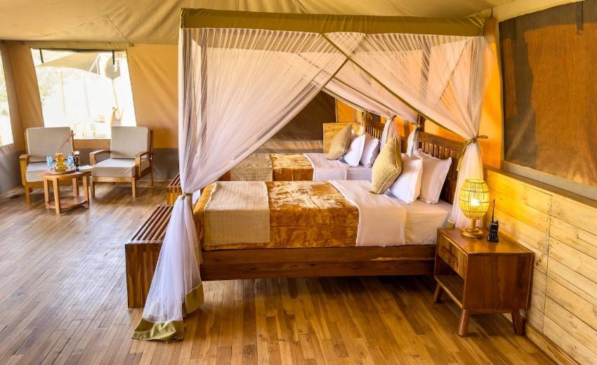 Lifetime Safaris
