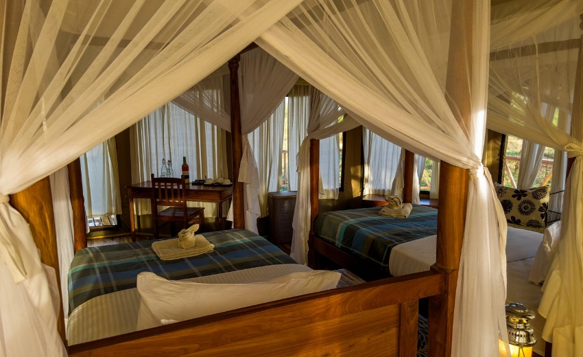 Lifetime Safaris