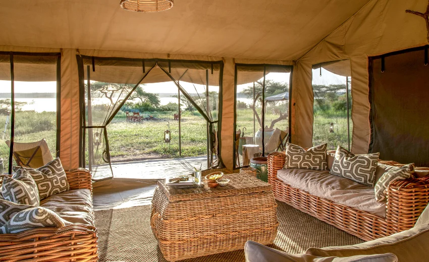 Lifetime Safaris