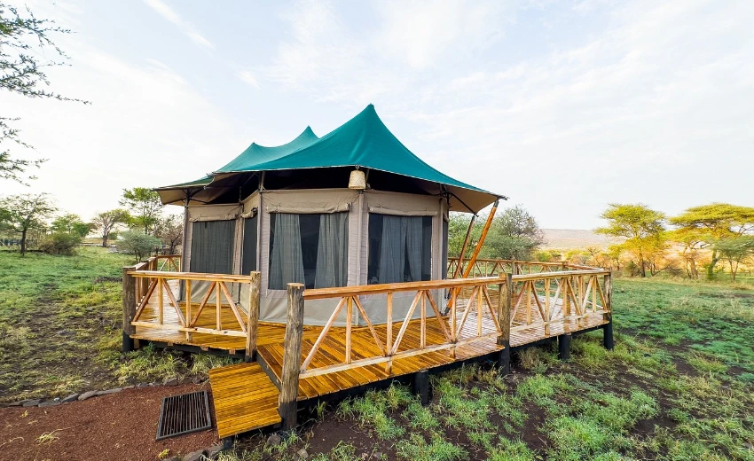 Lifetime Safaris
