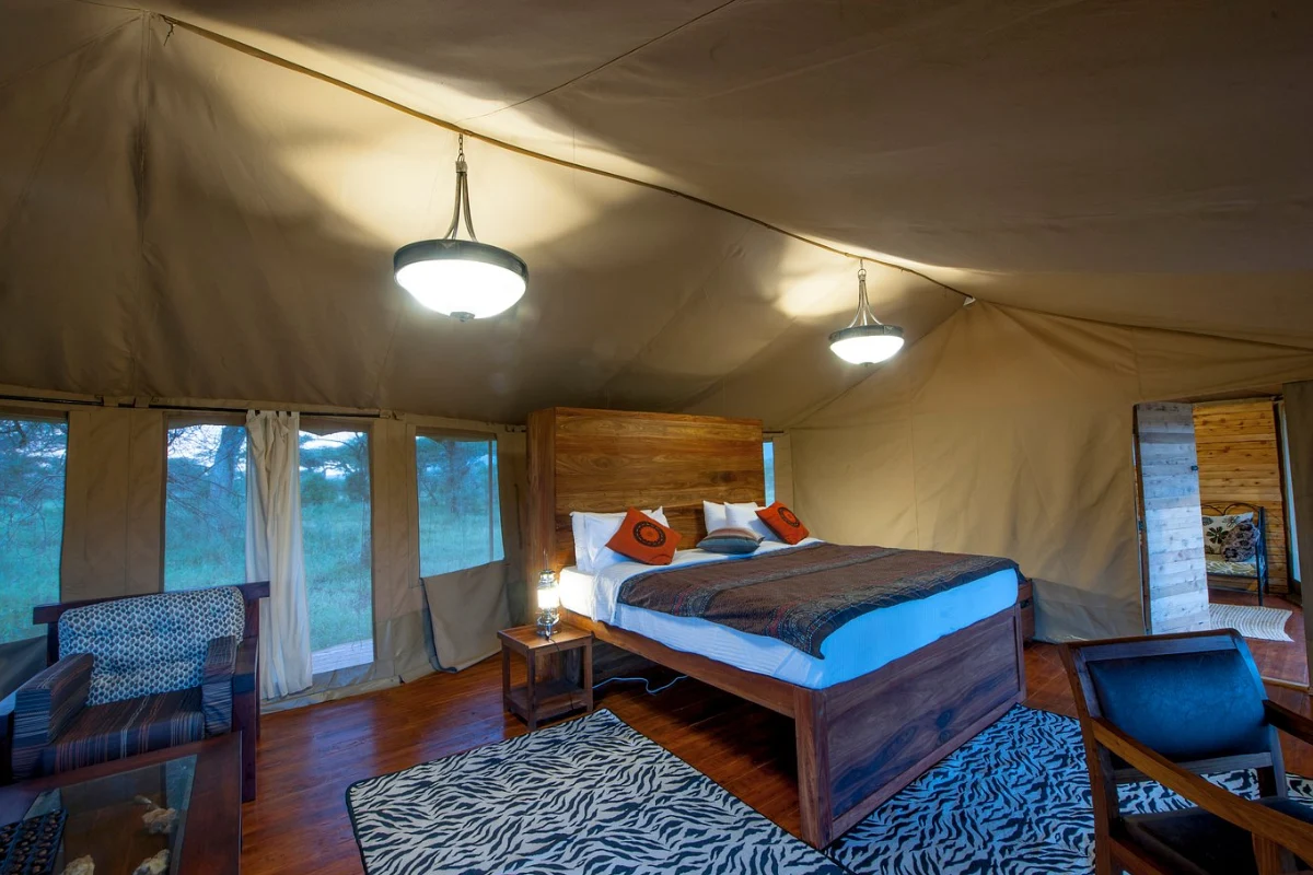 Lifetime Safaris