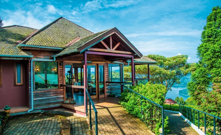 Lifetime Safaris