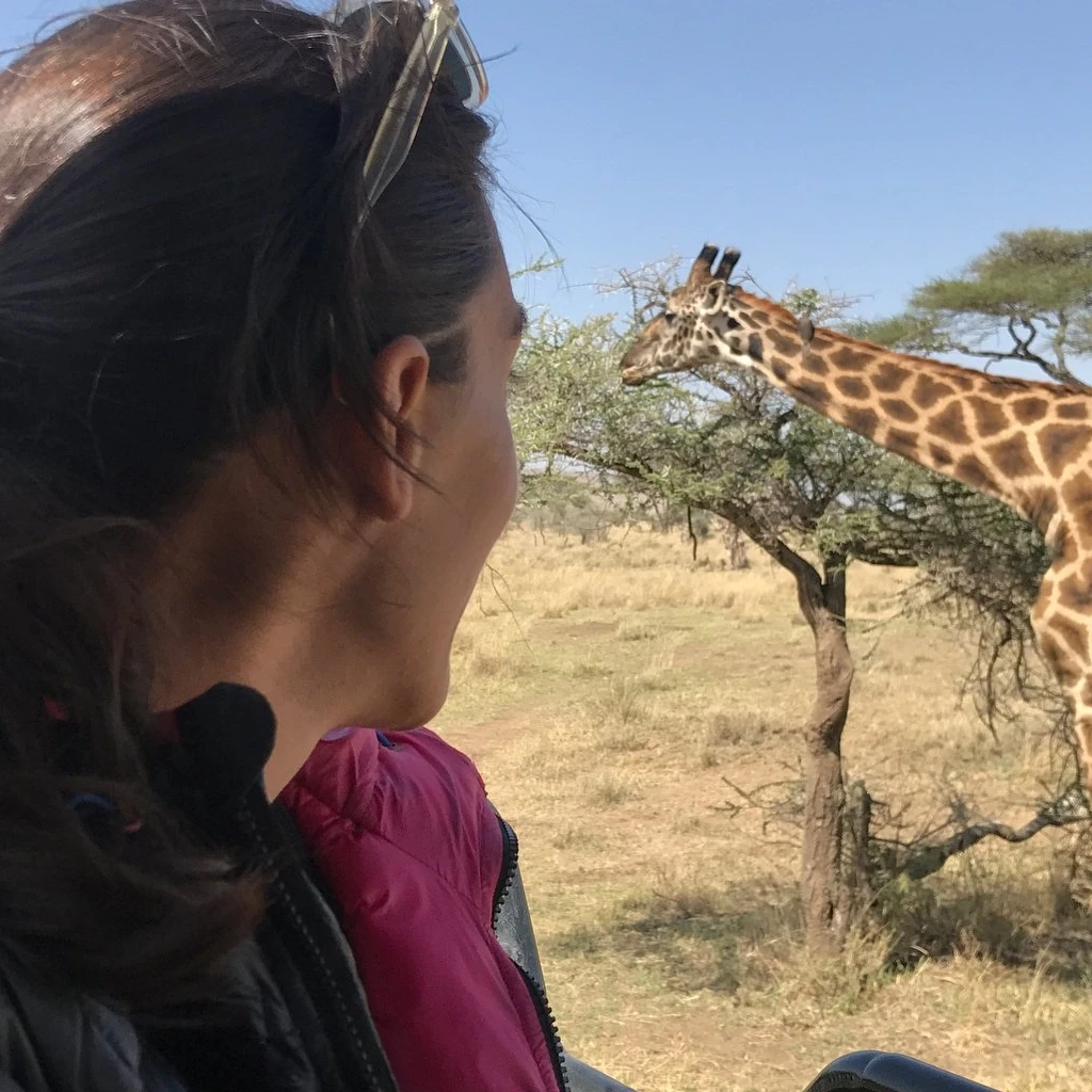 Lifetime Safaris
