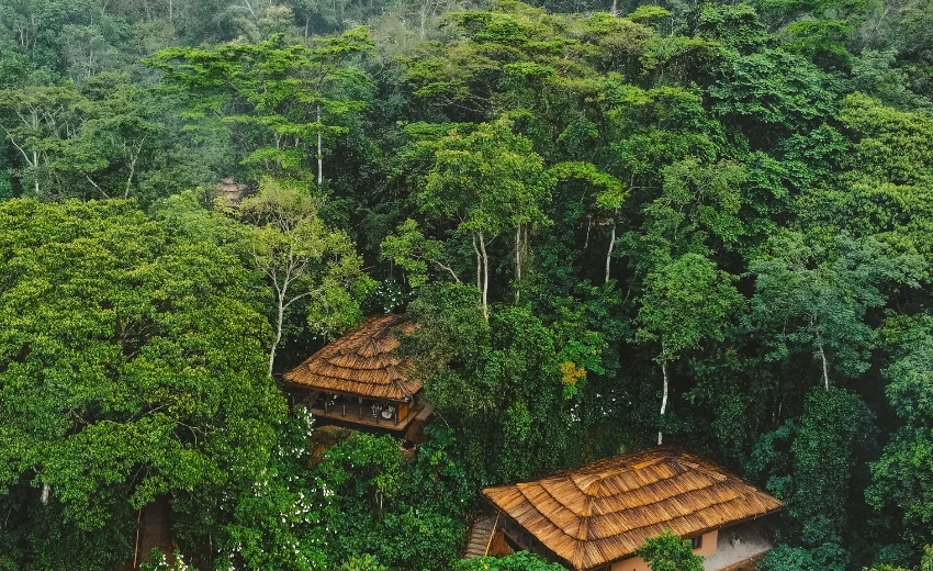 Lifetime Safaris