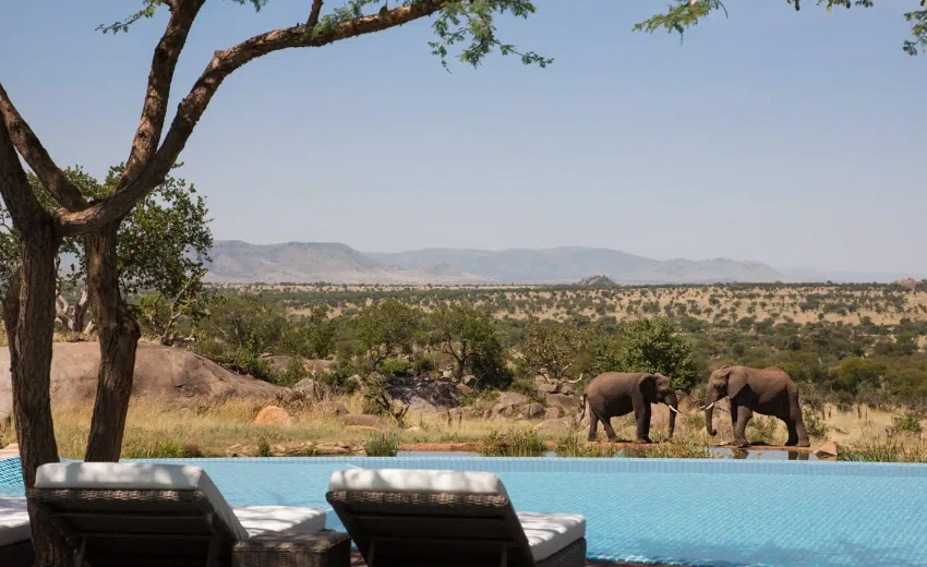 Lifetime Safaris