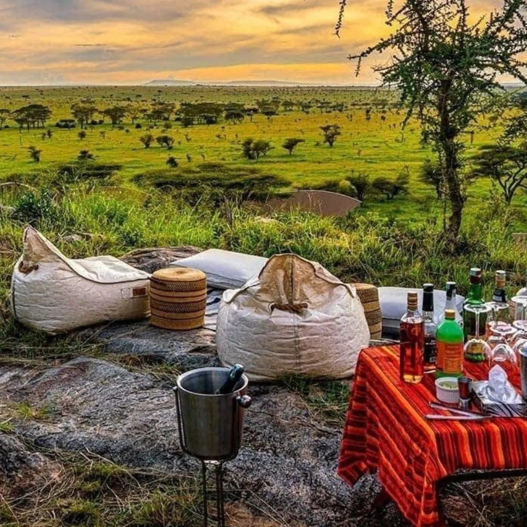Safari Enjoy