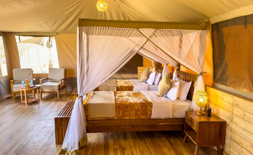 Lifetime Safaris