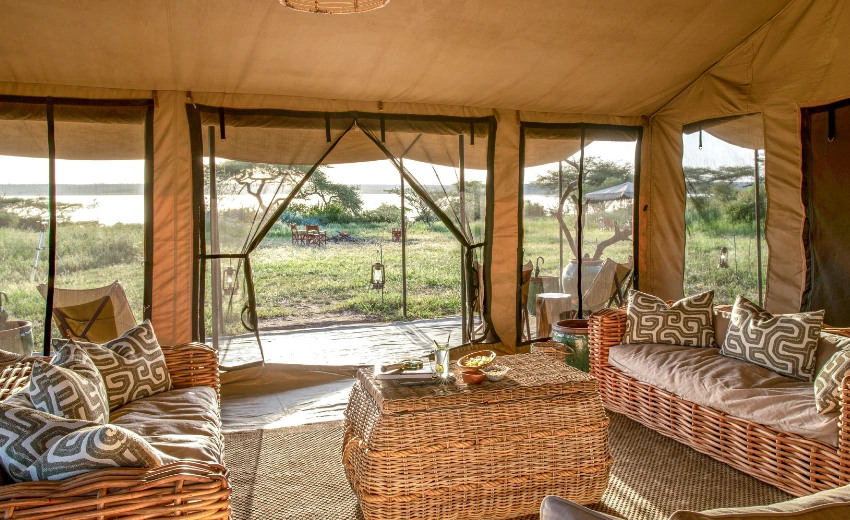 Lifetime Safaris