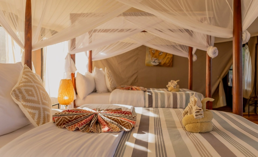 Lifetime Safaris