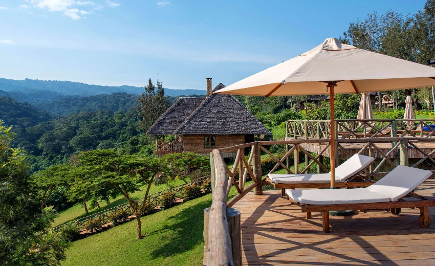 Lifetime Safaris