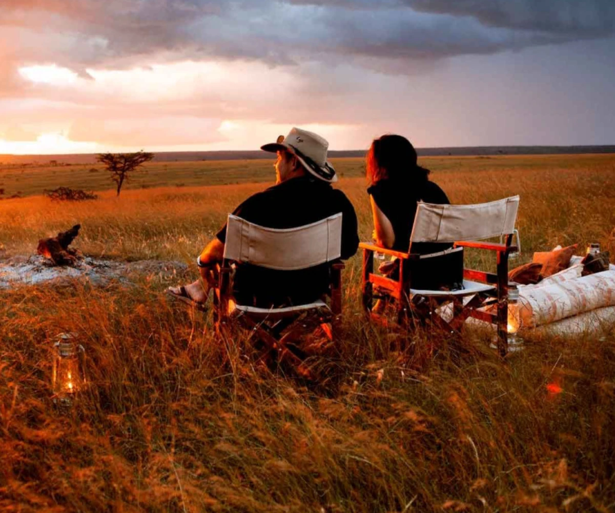 Safari Enjoy 
