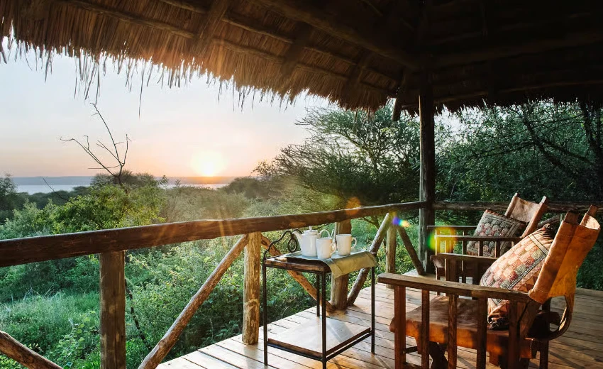 Lifetime Safaris