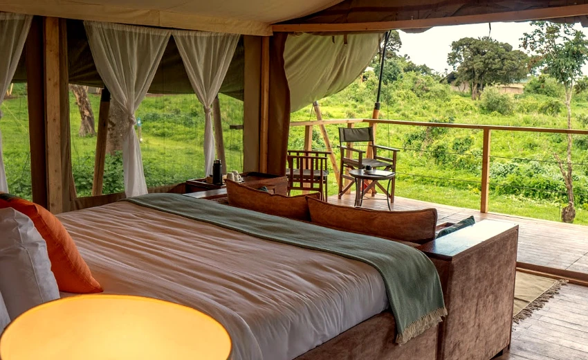 Lifetime Safaris