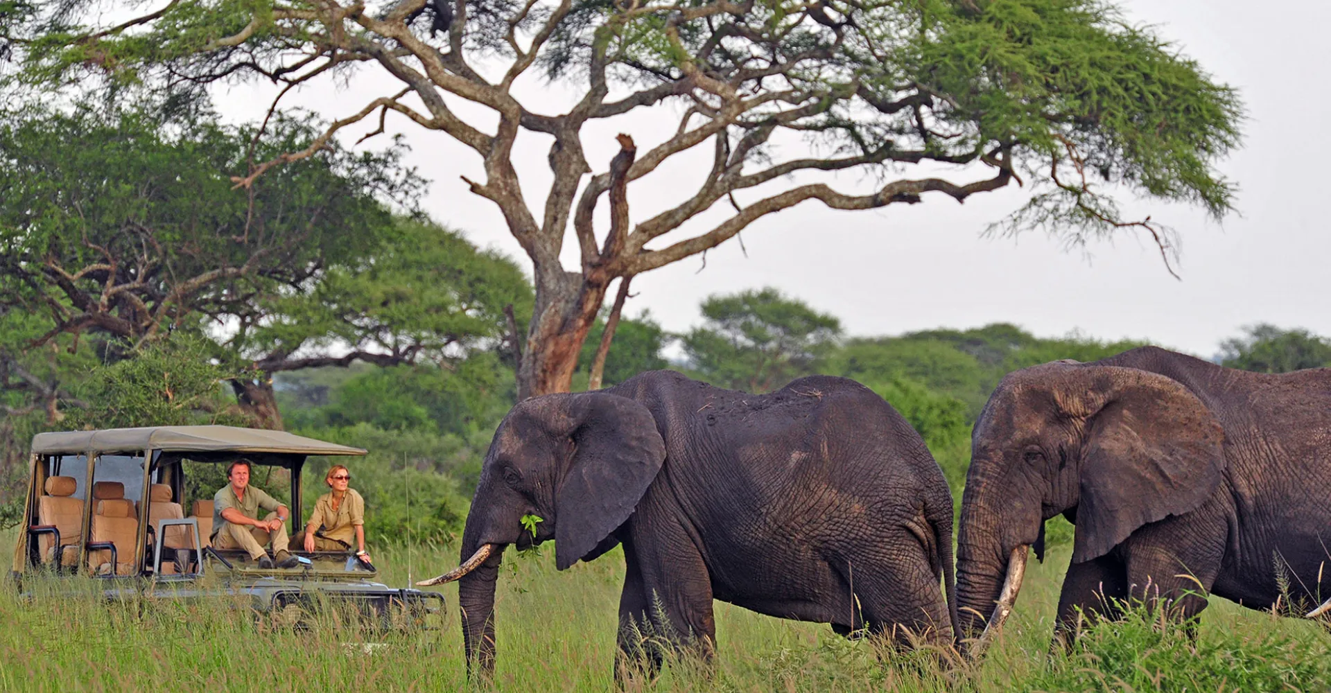 Lifetime Safaris