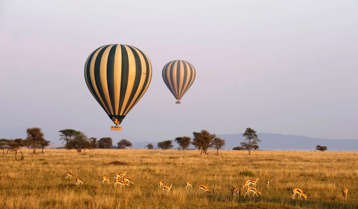 Lifetime Safaris