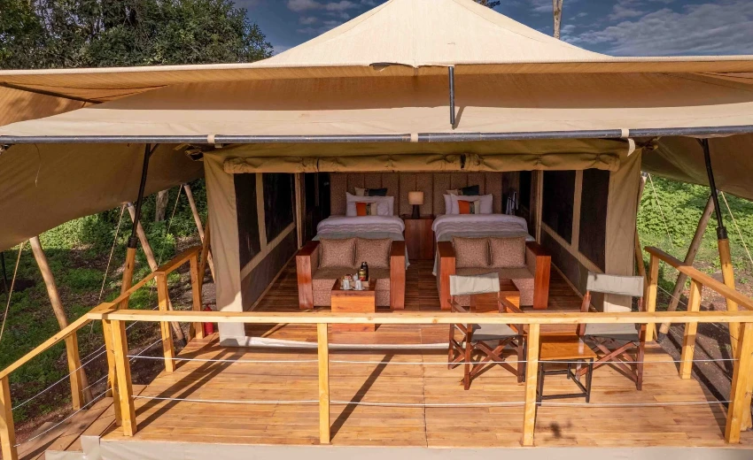 Lifetime Safaris