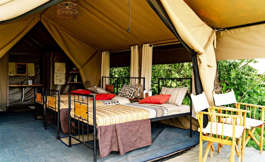 Lifetime Safaris