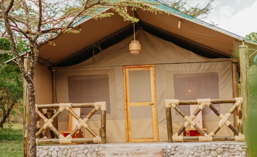 Lifetime Safaris