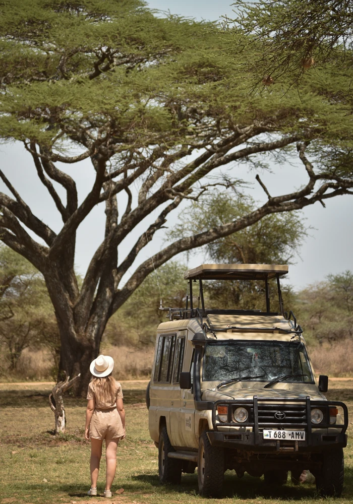 Lifetime Safaris