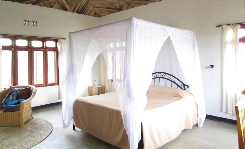Lifetime Safaris