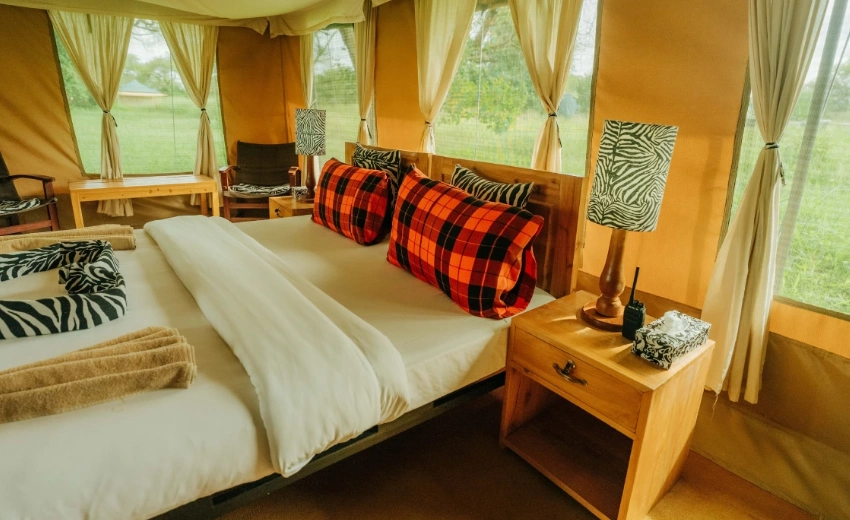 Lifetime Safaris