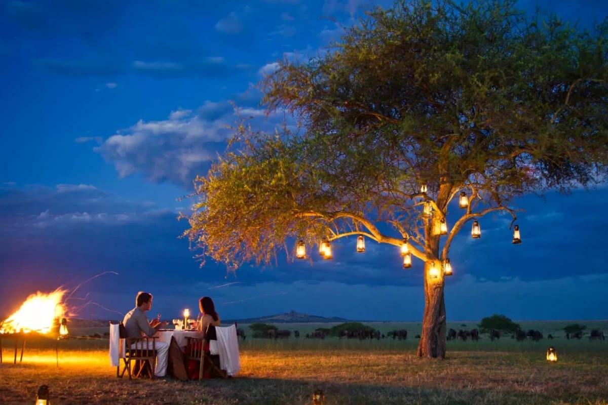 7 Days Tanzania Wildlife Honeymoon Safari