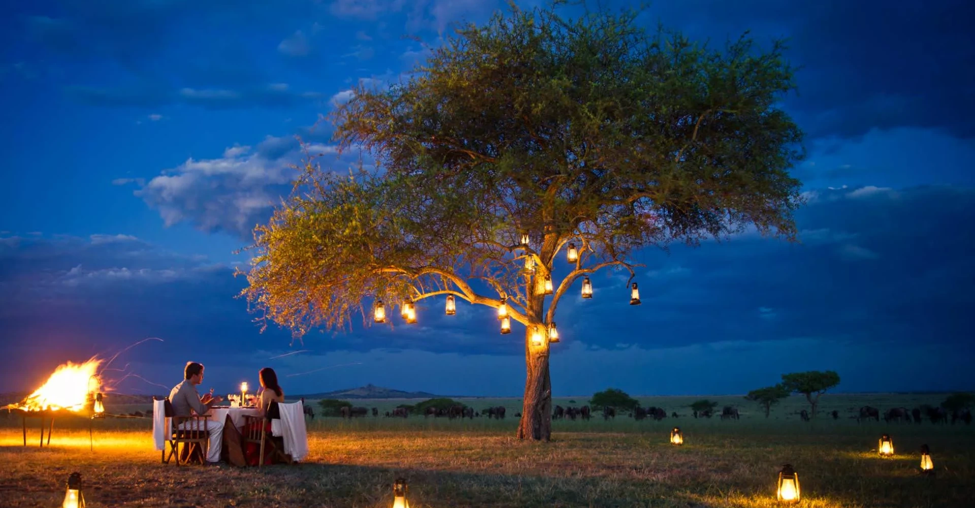 Lifetime Safaris
