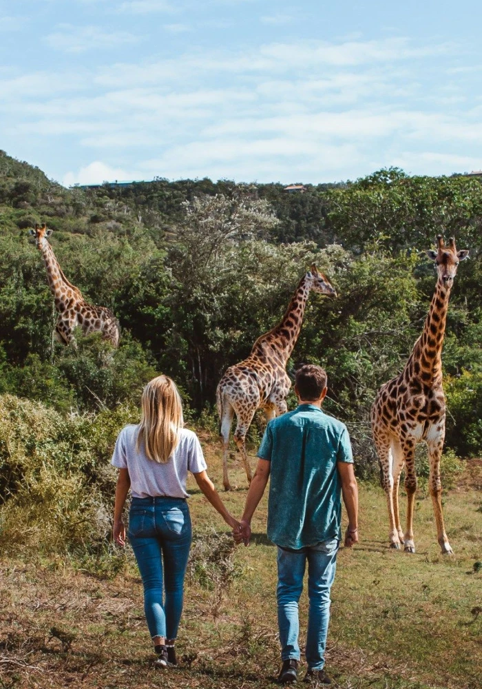Lifetime Safaris
