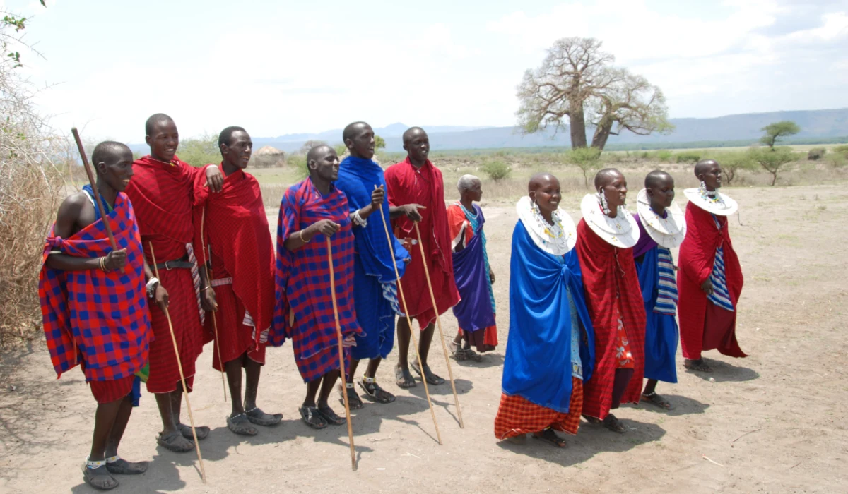 Lifetime Safaris