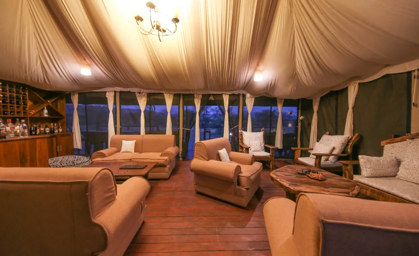 Lifetime Safaris