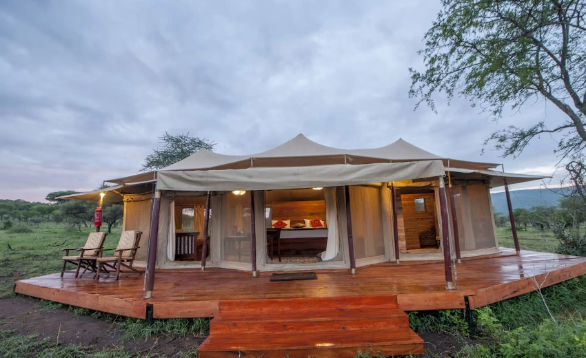 Lifetime Safaris