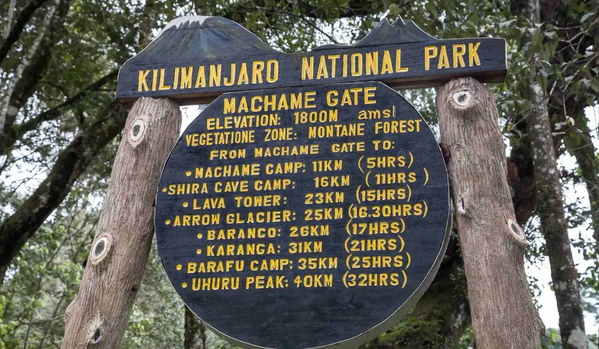 Lifetime Safaris