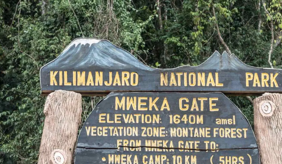 Lifetime Safaris