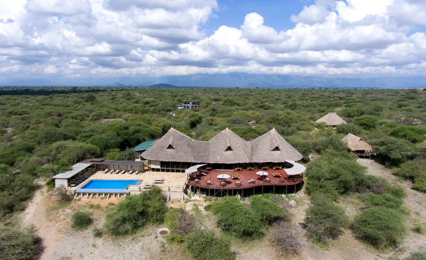 Lifetime Safaris