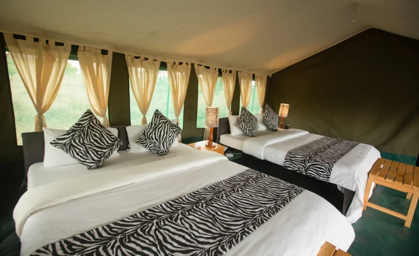 Lifetime Safaris