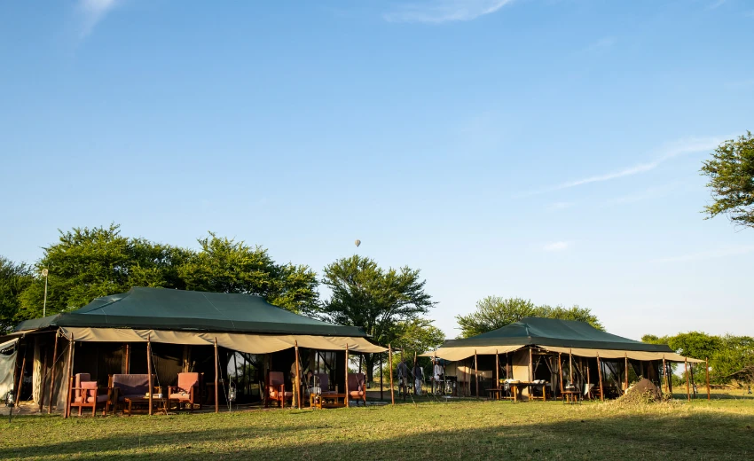 Lifetime Safaris