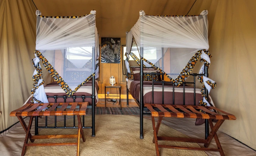 Lifetime Safaris