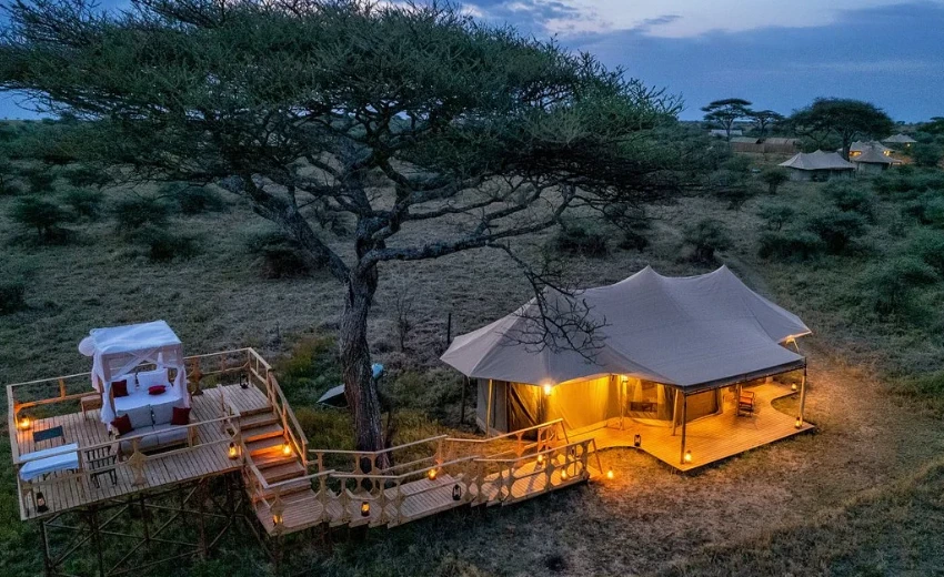 Lifetime Safaris