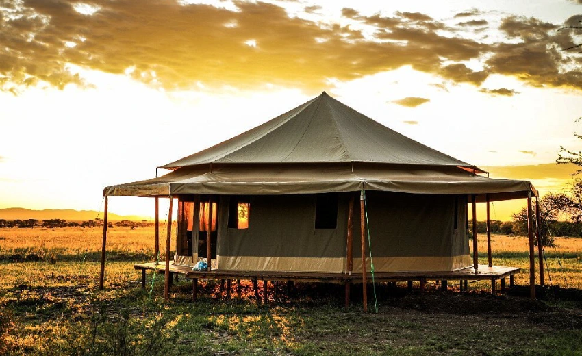 Sound of Silence Serengeti