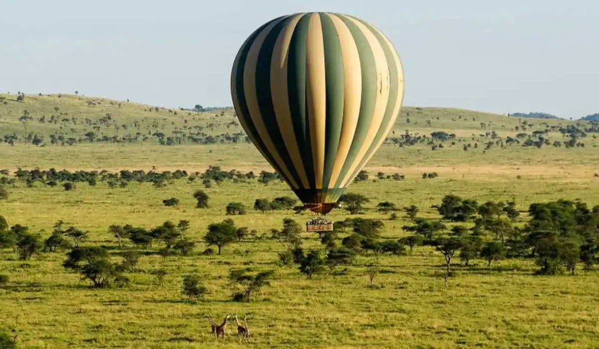 Hot Air Balloon Safari