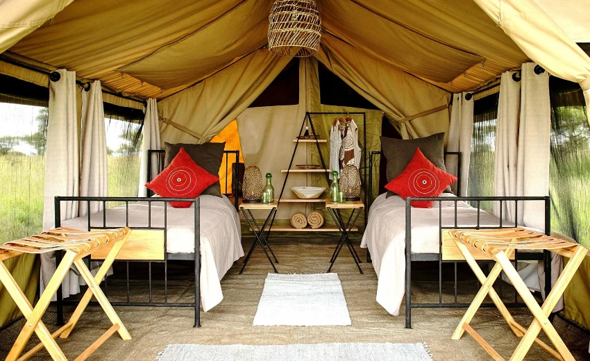 Lifetime Safaris