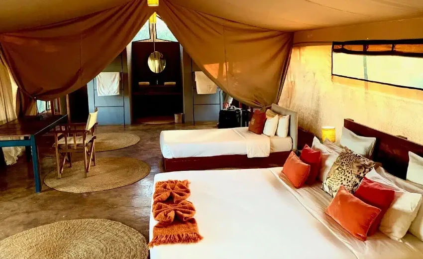 Lifetime Safaris