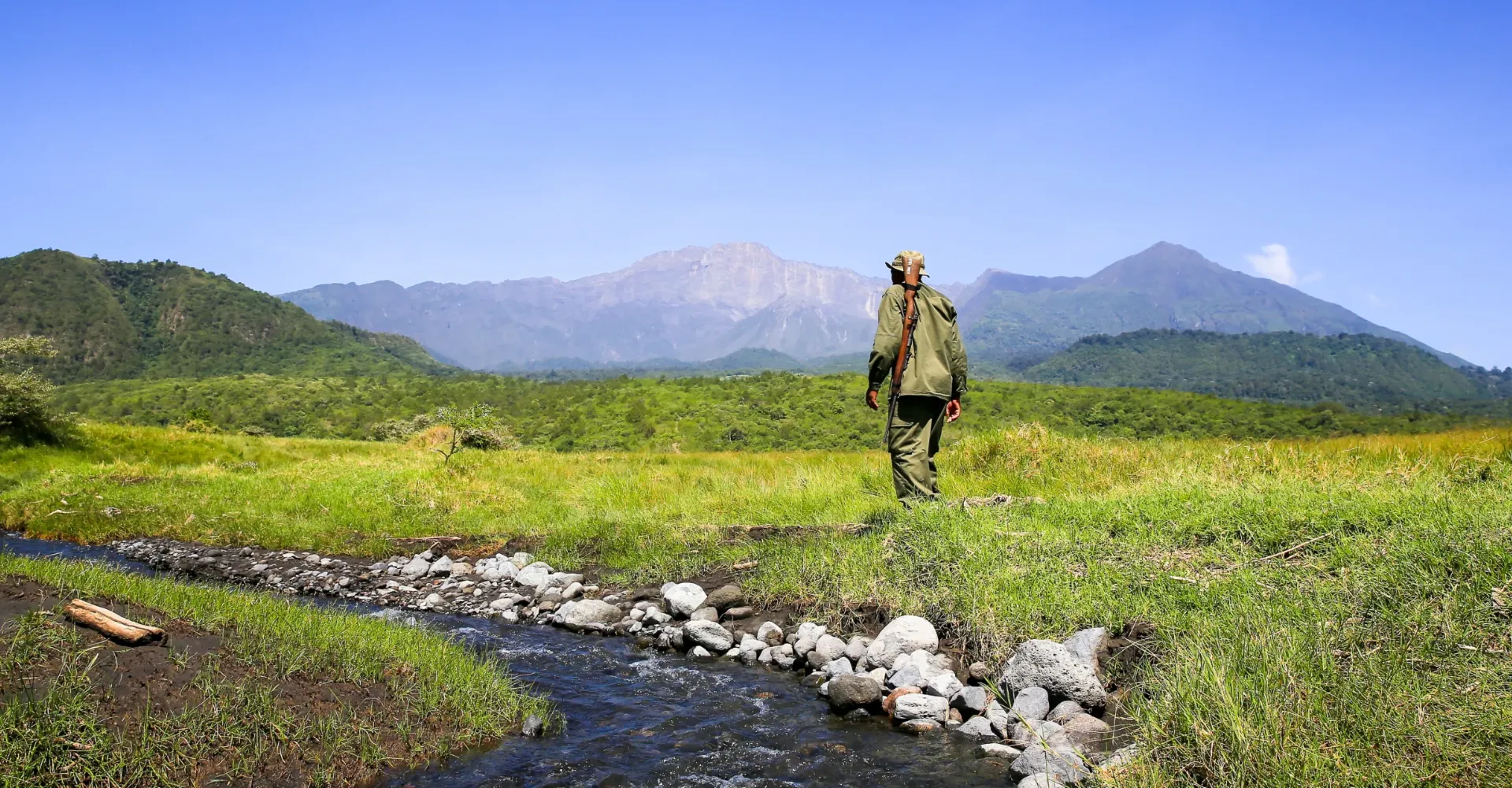 Lifetime Safaris