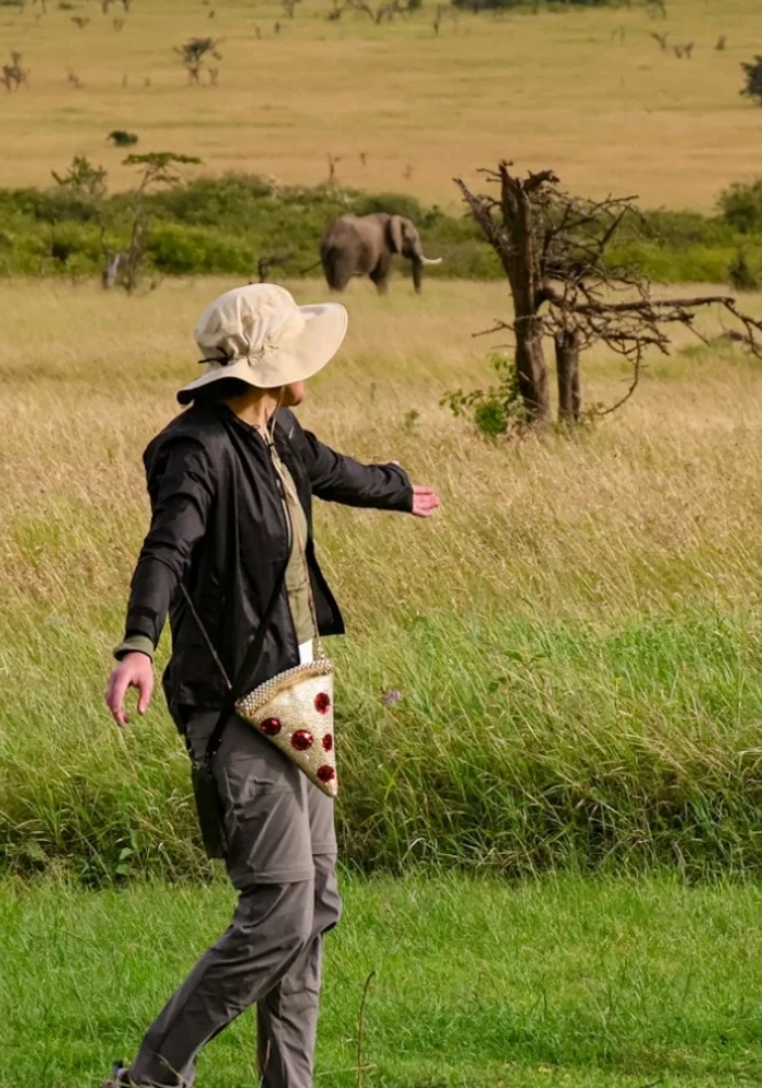 Lifetime Safaris